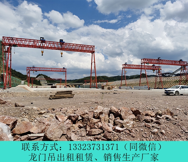 云南5T花架半龍門吊安裝 昭通龍門吊出租廠家